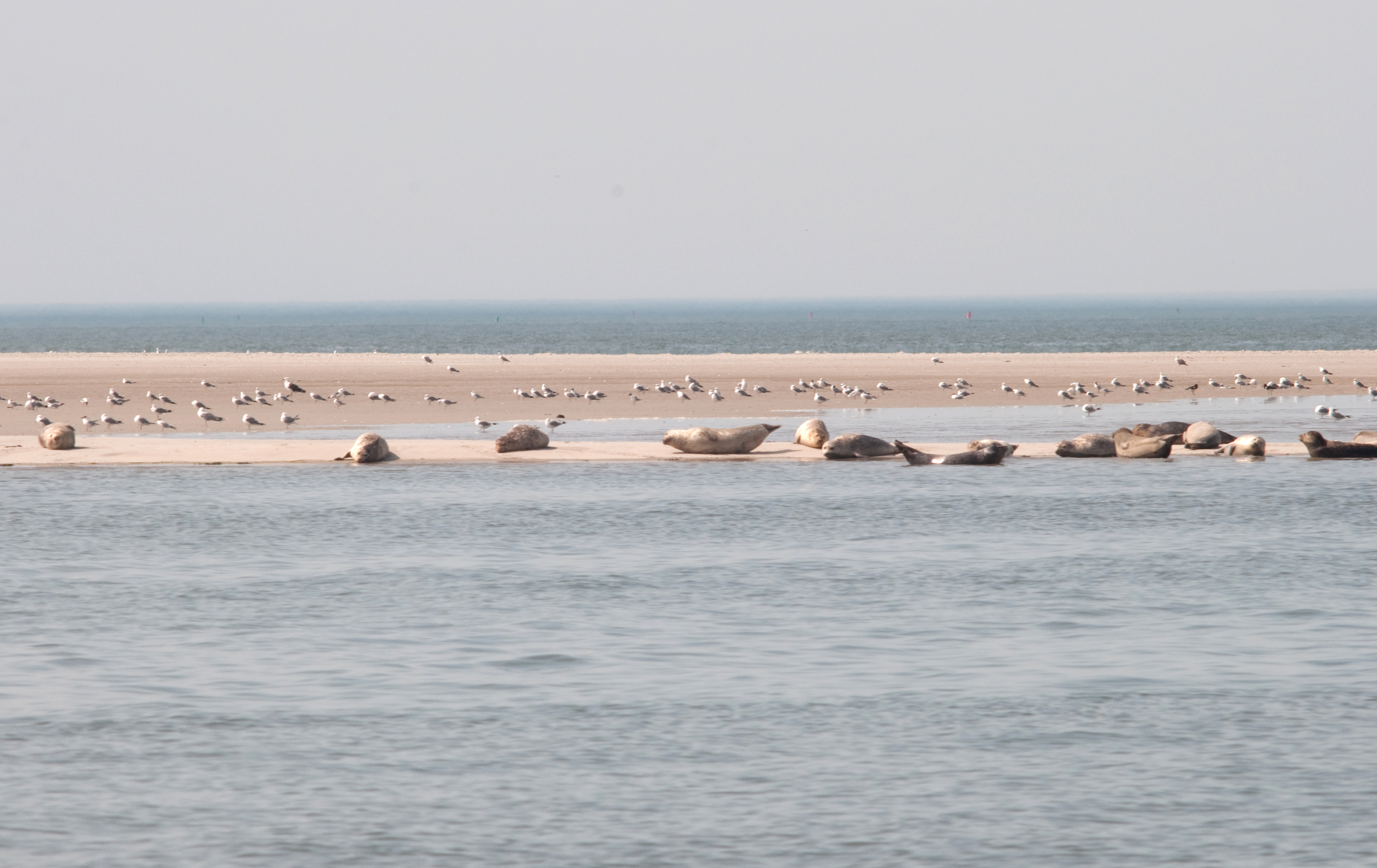 Vaarroute Waardgronden Terschelling is open - Programma ...