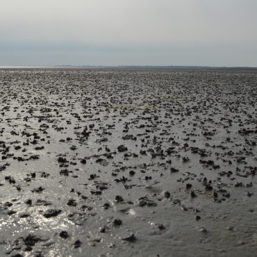 Waddenzee bij Ameland, FOTO Christiaan Kooistra