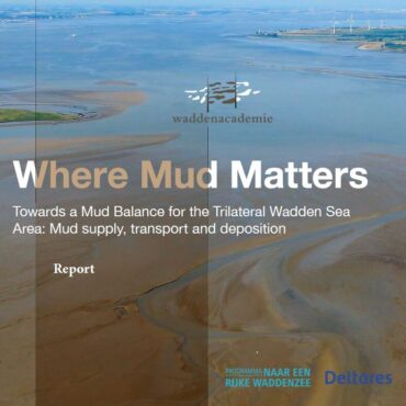 Where Mud Matters